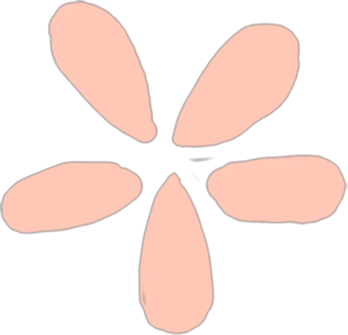 篮球训练法读后感怎么写_1